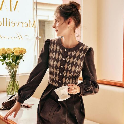 OLrain欧芮儿法式咖色连衣裙女秋季2022新款森系高级感复古茶歇裙 商品图1