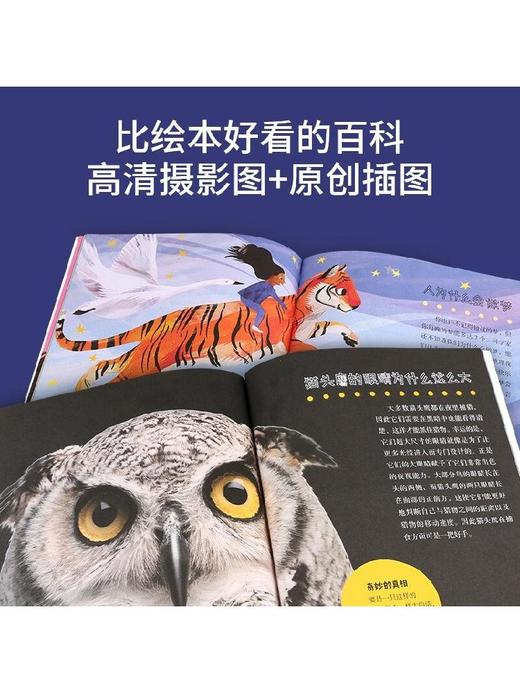 大英儿童百科全书小朋友的大问题 3-8岁 大英百科全书公司 著 科普百科 商品图2