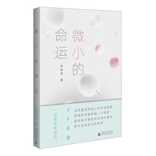 微小的命运  李静睿  广西师范大学出版社 商品图2