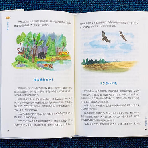 森林报全4册 商品图2