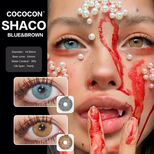 Cococon万圣节限定-纽约蓝/纽约棕 商品图1