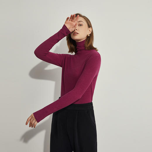 【德绒高领】秋冬新款德绒玻尿酸美肤高领打底衫女 无痕磨双面毛长袖T恤女 QJ 000 YJ008 商品图5