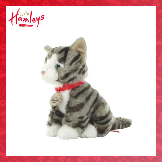 297028 自营 HM 虎斑猫 商品图0