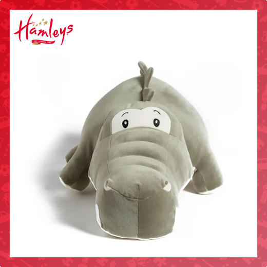 557363 自营 HM 抱抱鳄鱼 商品图0