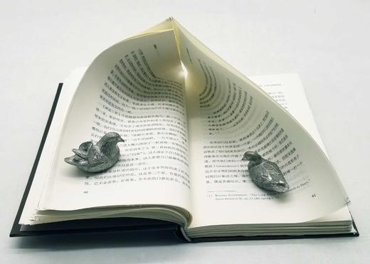 毛边本：《九家读杜诗》，精装，田晓菲主编，三联书店2022年8月一版一印，定价72，售价70元。 商品图13