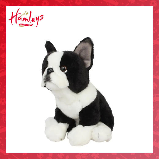 101113 自营 HM 法国斗牛犬 商品图0