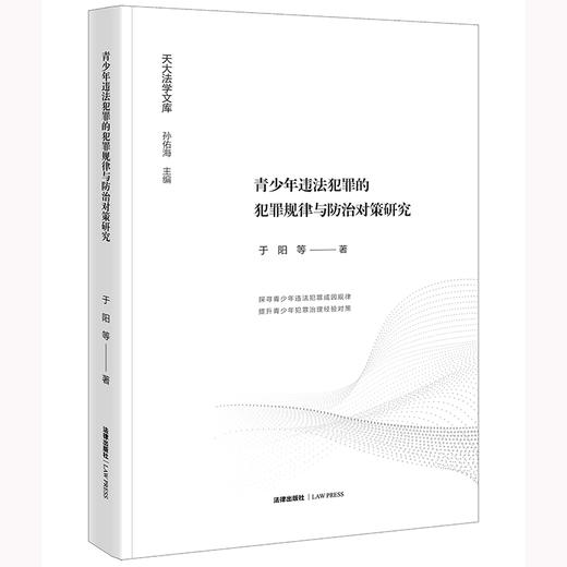 青少年违法犯罪的犯罪规律与防治对策研究	于阳等著 商品图0