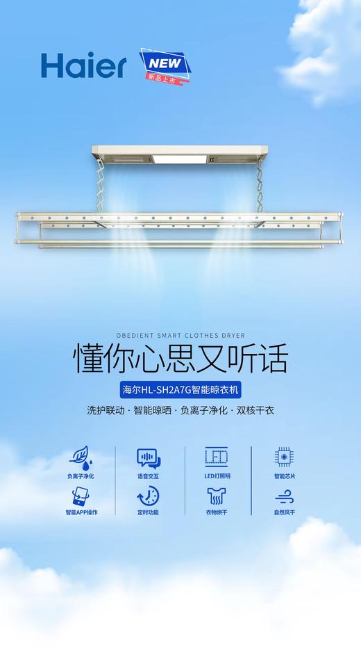 海尔HL-SH2A7G 香滨金 商品图0