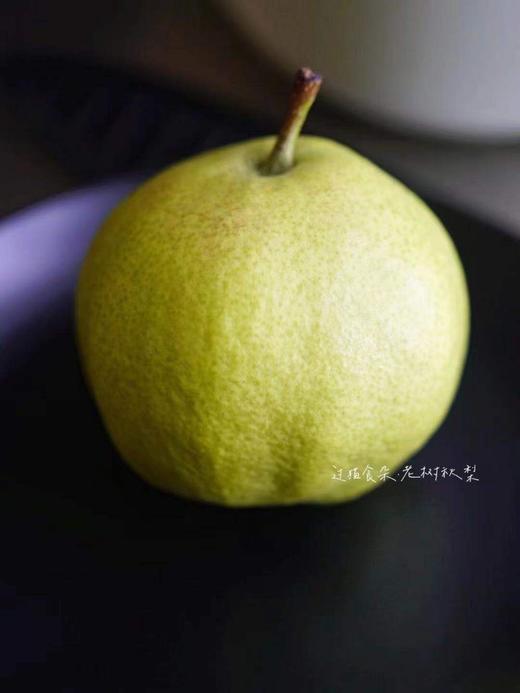 云南大理古树蜂糖梨 酥脆多汁 满口生津 商品图1