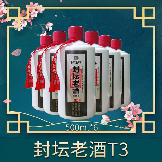 郑酒师.封坛老酒T3整件装6x500ml-- 商品图0