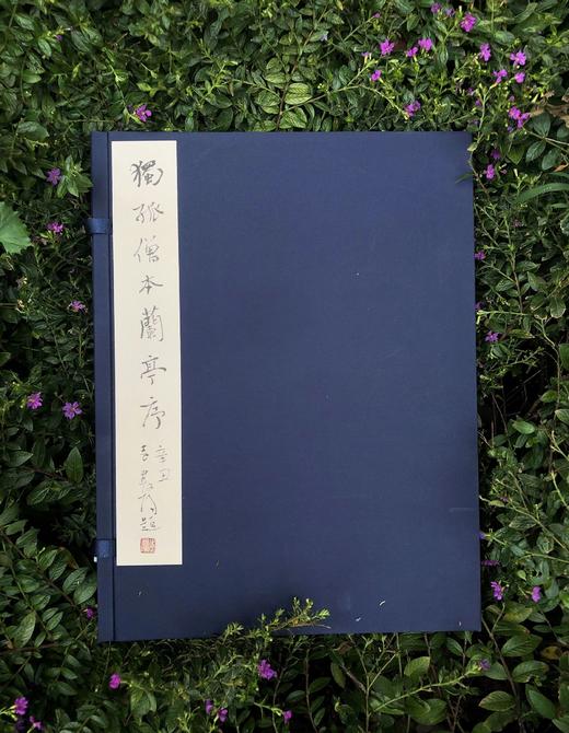 善本碑帖精华27《独孤僧本兰亭序》宋拓定武兰亭原石真本东京国立博物馆授权首次原大全本彩色调频精印 商品图1