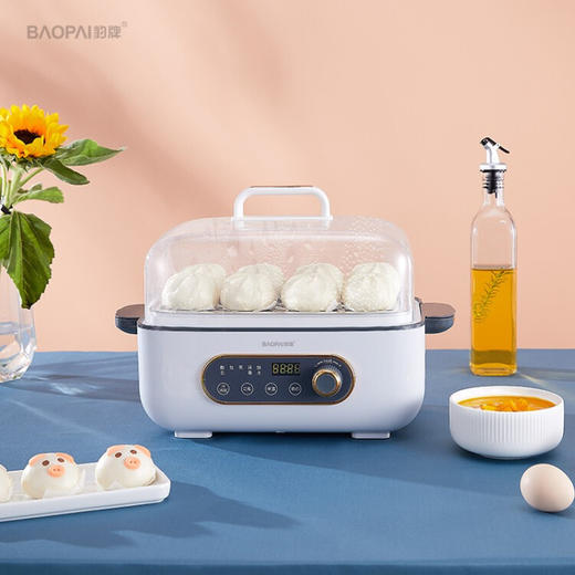豹牌  极速电蒸锅 5L 多种模式自动烹饪  耐高温  BP-WD069 商品图2