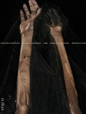 Teaser 4 - 情感悖论