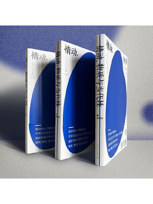 预售 情动 物质与当代性 清华教授汪民安关于当代性的文化探险文化研究 重新审视日常生活中的情感物质语言艺术 随笔现当代文学 商品图2