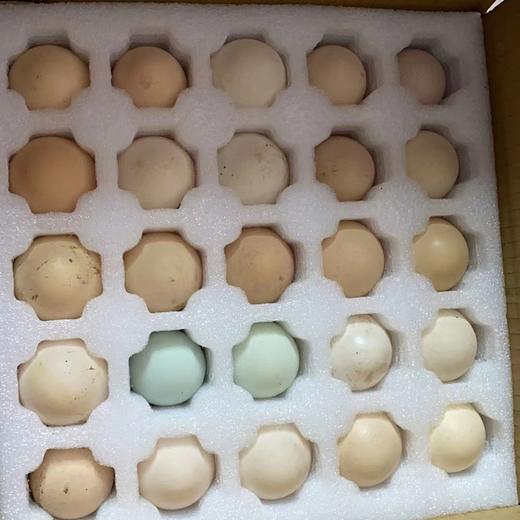 云阳土鸡蛋，梅峰土鸡蛋，一件50个，125元普通地区包邮 商品图2