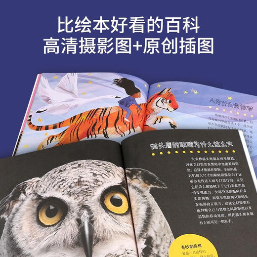 大英儿童百科全书小朋友的大问题 3-8岁 大英百科全书公司 著 科普百科 商品图1