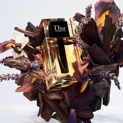 法国 Dior迪奥 桀骜男士淡香水(清新木香 ) 50ml /100ml 商品图3