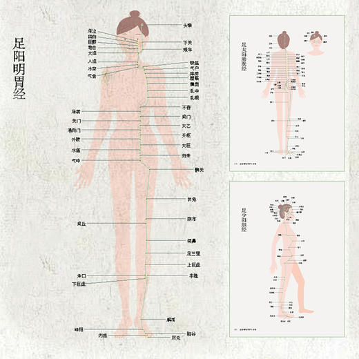 经络精油芳疗小百科 商品图4