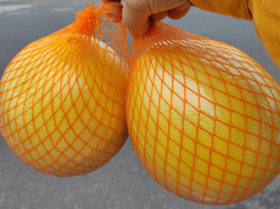 测试