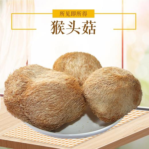 【韶关帮扶】千年雄州猴头菇 250g 商品图2