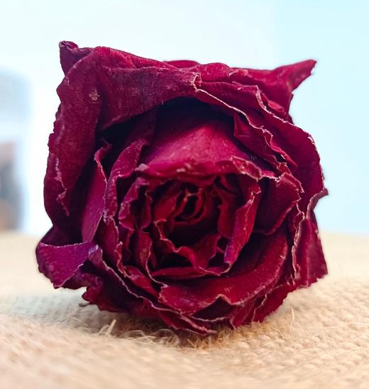 冻干墨红玫瑰，玫瑰中的“爱马仕” 冻干玫瑰花茶 不熏硫 不加色素 整朵玫瑰花冠茶 礼盒装 商品图4