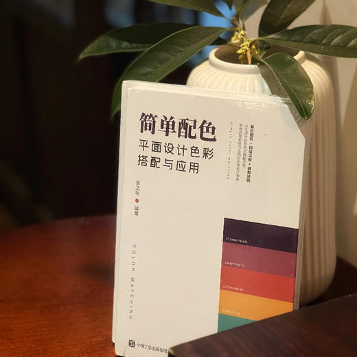 简单配色 平面设计色彩搭配与应用 商品图6
