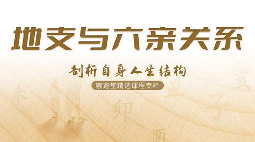地支与六亲关系 商品图0
