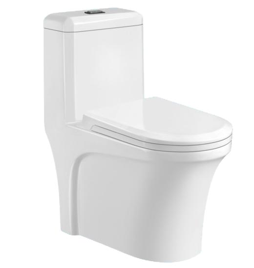 WZB05-01/02坐便器 商品图1