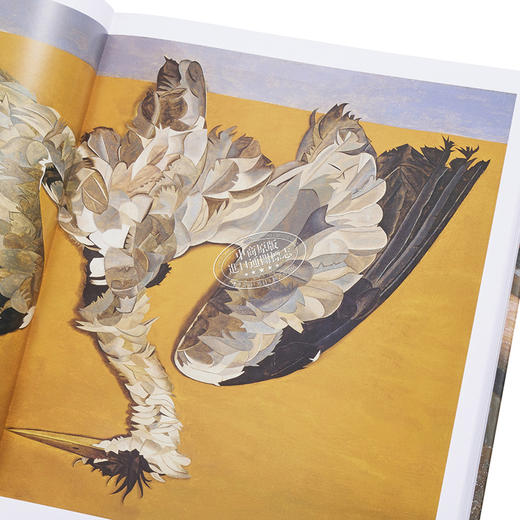 【中商原版】卢西恩·佛洛伊德 英文原版 Lucian Freud 表现主义绘画 商品图3