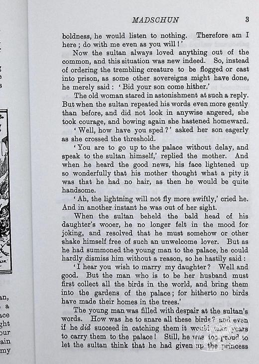 【中商原版】朗格橄榄色童话 英文原版 The Olive Fairy Book 安德鲁·朗格 童话 外国文学 Andrew Lang 商品图6