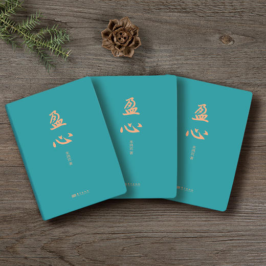 《盈心》米鸿宾 商品图2