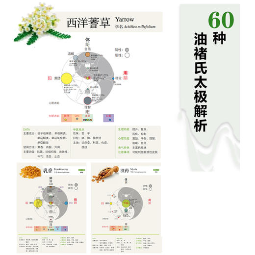 经络精油芳疗小百科 商品图3