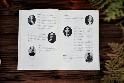 大学问 · 论语新识    刘强/著   论语  新识   经典    传统文化   儒家    广西师范大学出版社 商品图4