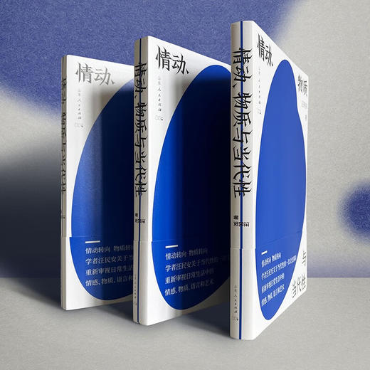 预售 情动 物质与当代性 清华教授汪民安关于当代性的文化探险文化研究 重新审视日常生活中的情感物质语言艺术 随笔现当代文学 商品图1