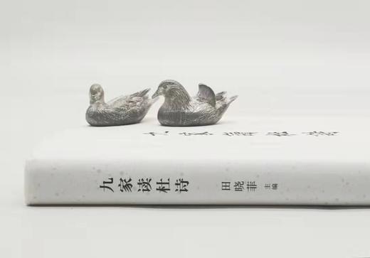 毛边本：《九家读杜诗》，精装，田晓菲主编，三联书店2022年8月一版一印，定价72，售价70元。 商品图1