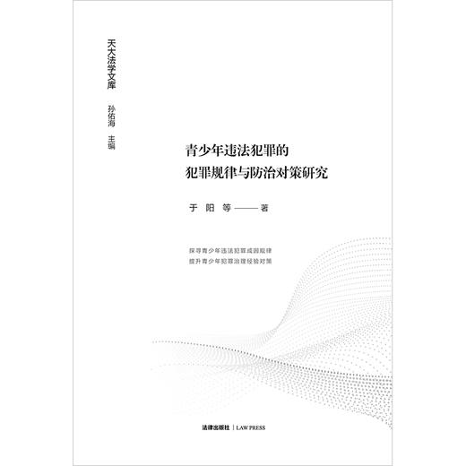 青少年违法犯罪的犯罪规律与防治对策研究	于阳等著 商品图1