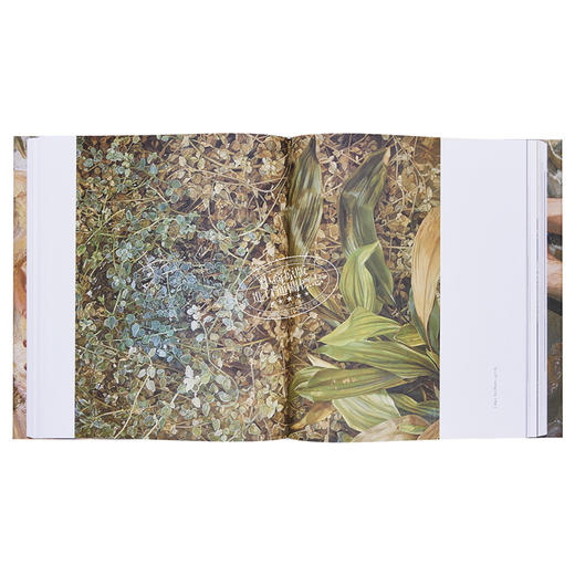 【中商原版】卢西恩·佛洛伊德 英文原版 Lucian Freud 表现主义绘画 商品图5