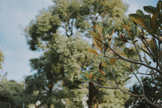 作为女性2021想要过得更好怎么办？【袁奕的锦囊-1】 商品图0