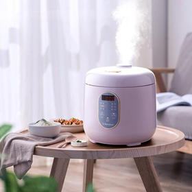 Westinghouse西屋多功能迷你电饭煲 2L WRC-0212A
