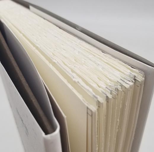 毛边本：《九家读杜诗》，精装，田晓菲主编，三联书店2022年8月一版一印，定价72，售价70元。 商品图4