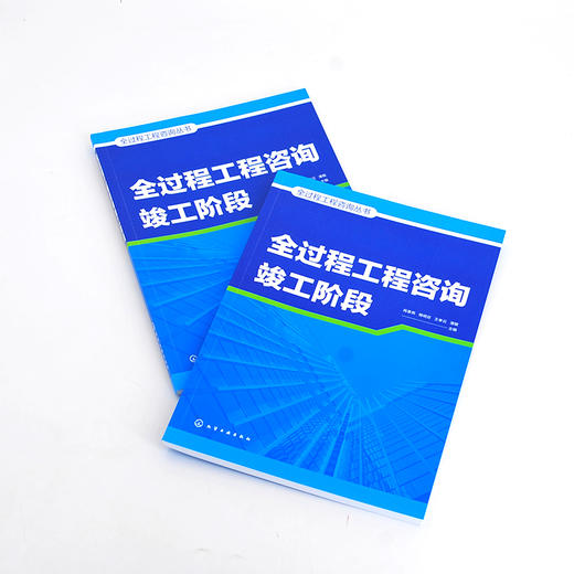 全过程工程咨询丛书--全过程工程咨询竣工阶段 商品图1