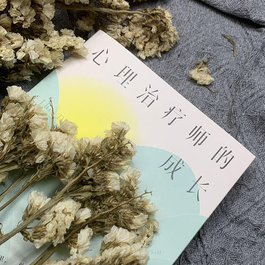 心理治疗师的成长 治愈他人,治愈自己 商品图3