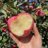 【质农】 2025新果 正宗陕西洛川苹果 个大色艳/肉质紧密/汁多松脆/酸甜适口 商品缩略图4