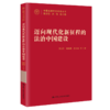 迈向现代化新征程的法治中国建设（中国式现代化研究丛书） 商品缩略图0