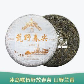 【会员日直播】荼画 2021年 荒野春尖 勐库茶区 普洱生茶 200g 买一送一