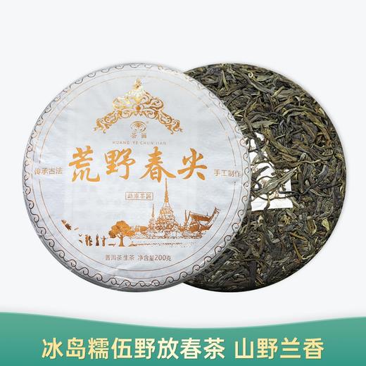 【会员日直播】荼画 2021年 荒野春尖 勐库茶区 普洱生茶 200g 买一送一 商品图0