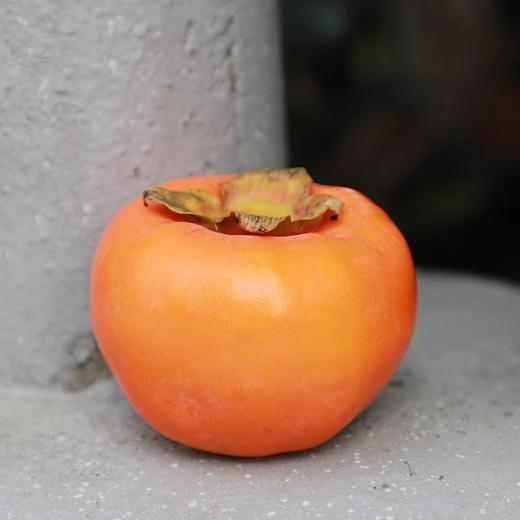 秭归高山苹果脆柿4.5斤左右 大果（商） 商品图2