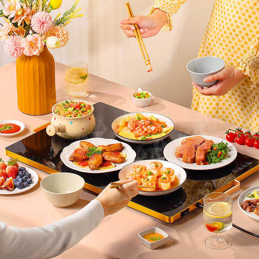 积米饭菜保温板  家用热菜板  多功能暖菜板 商品图3