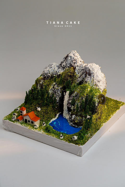 【立体红丝绒造型蛋糕】微景观蛋糕 一起看世界 商品图5