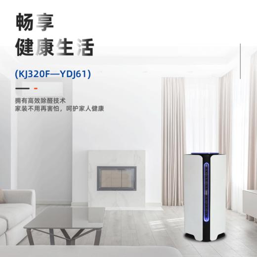 高能负氧离子机KJ320F-YDJ61 商品图1